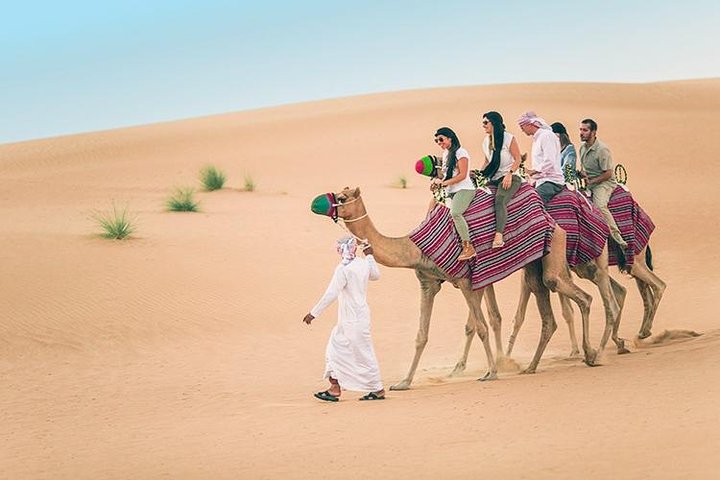 Dubai Desert Red Dune Half-Day Safari Adventure and BBQ Dinner - Image 5