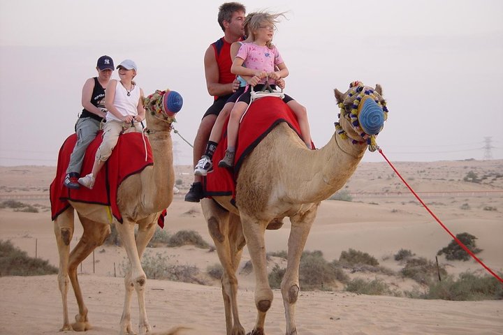 Dubai Desert Safari in Morning with Camel Ride and Sand boarding - Image 4