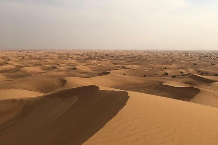 Dubai Desert Safari with BBQ, Quad Bike and Camel Ride Experience - Image 4