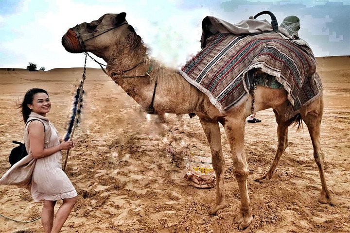 Dubai: Desert Safari with Camel Ride - Image 3
