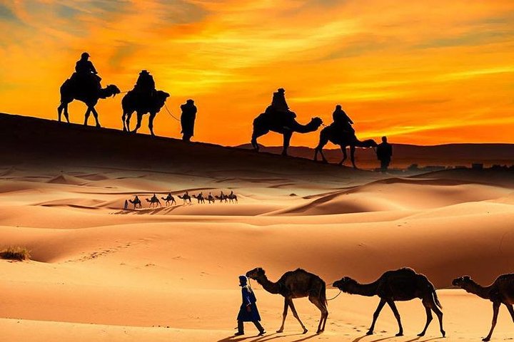 Dubai Desert Safari with Camel Ride and Barbeque Dinner - Image 3