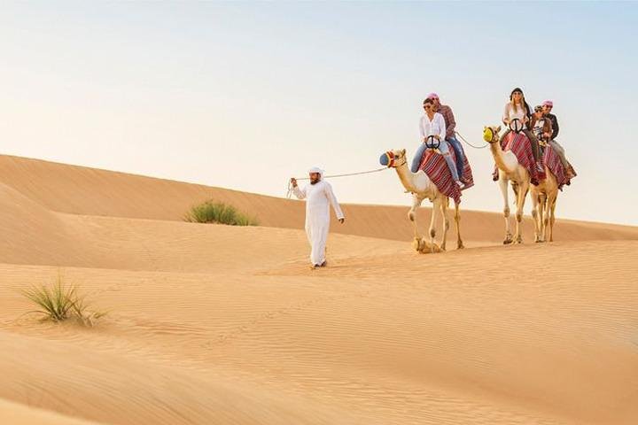  Dubai: Desert Safari with Camel Ride & Dune Bashing - Image 1