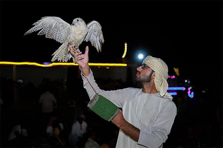 Dubai Desert Safari with Live Shows, Sand Skiing & Boarding, BBQ - Image 4