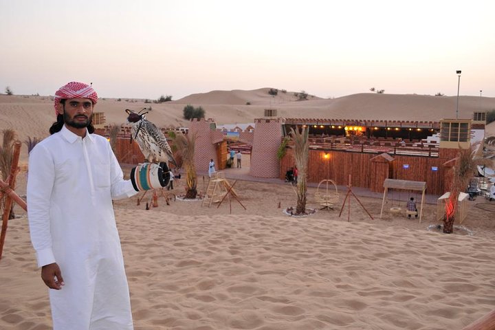 Dubai Desert Safari with Private Land Cruiser Hotel Pickup and drop off - Image 4