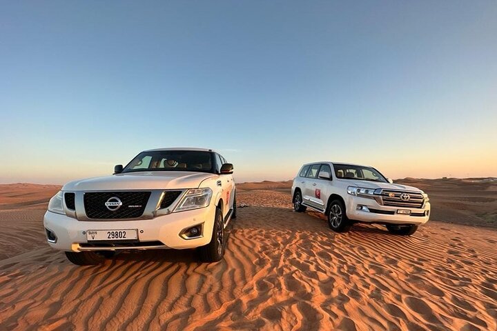 Dubai Desert Visit With or Without Dune Drive Private tour - Image 4