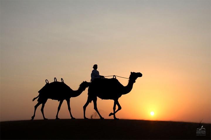 Dubai Dunes: Sunset Dinner Safari - Image 4