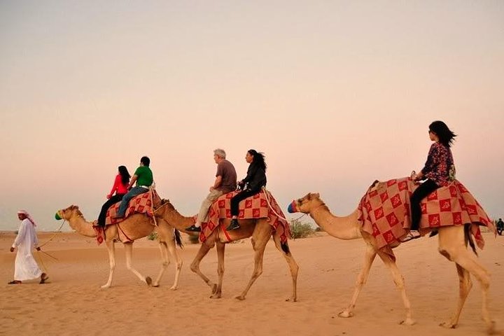 Dubai Evening Camel Safari Adventure with BBQ Dinner - Image 4