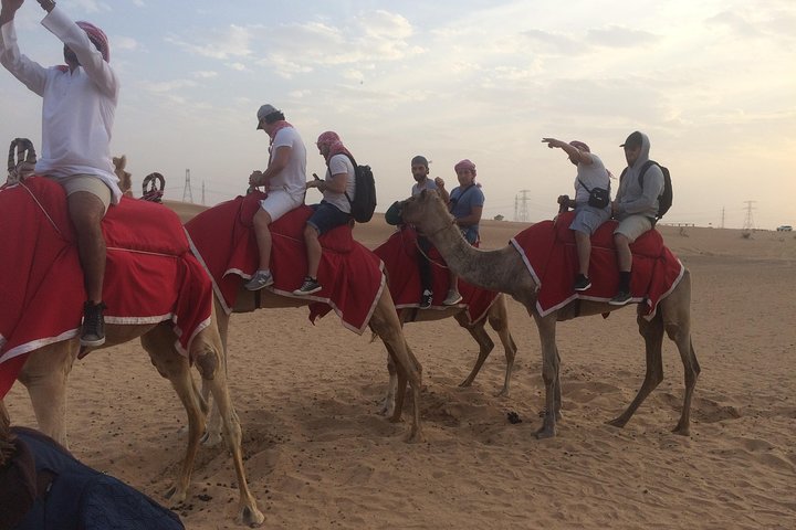Dubai Evening Camel Safari Adventure with BBQ Dinner - Image 5