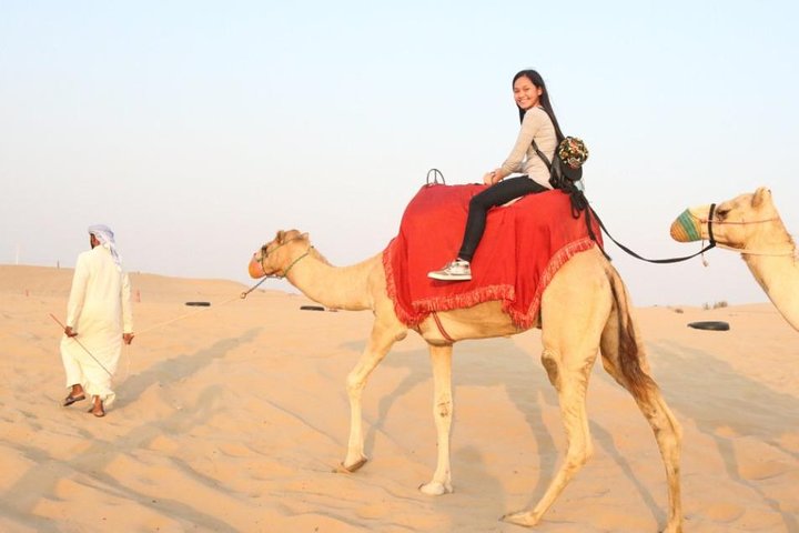 Dubai Evening Desert Safari - Private car - Image 2