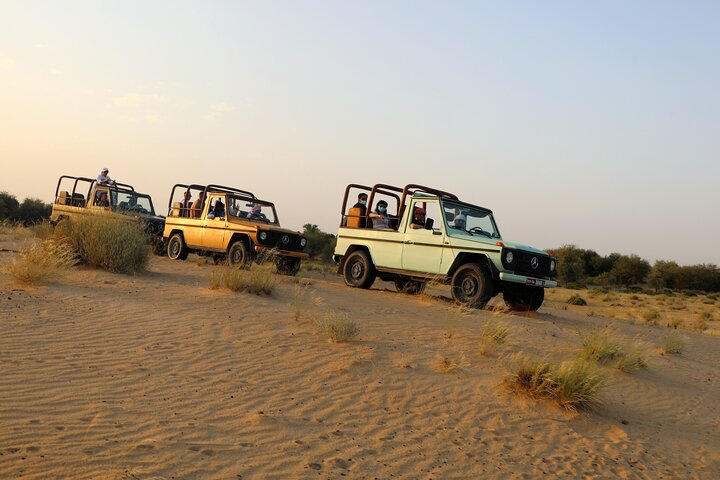 Dubai Evening Heritage Safari by Vintage G Class & Al Marmoom Oasis - Image 1