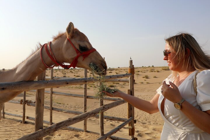 Dubai Evening Heritage Safari by Vintage G Class & Al Marmoom Oasis - Image 4
