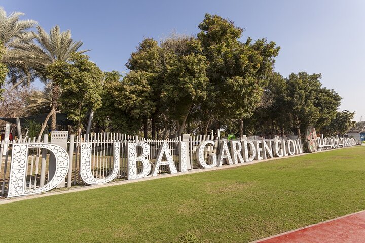 Dubai Garden Glow With Transfer - Image 4