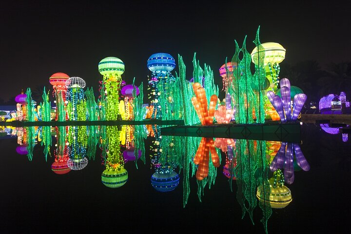 Dubai Garden Glow With Transfer - Image 5