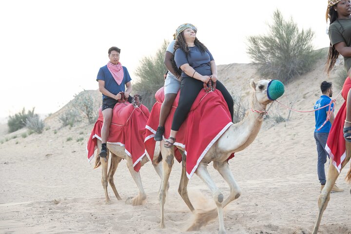 Dubai Half-day Red Dunes bashing with Sandboarding, Camel &Falcon - Image 5