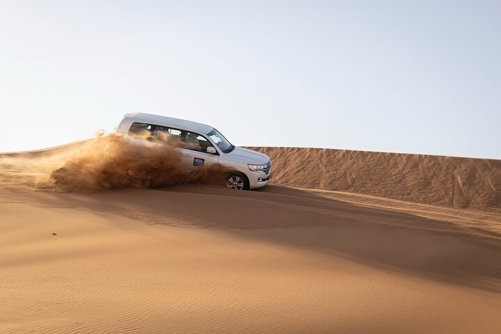 Dubai Half-day Red Dunes bashing with Sandboarding, Camel &Falcon - Image 2