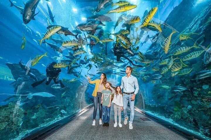 Dubai Mall Aquarium and Underwater Zoo Tickets with Transfers - Image 4