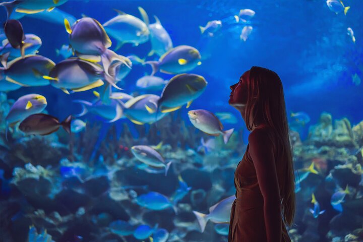 Dubai Mall Aquarium & Underwater Zoo Ticket with Private Transfer - Image 4