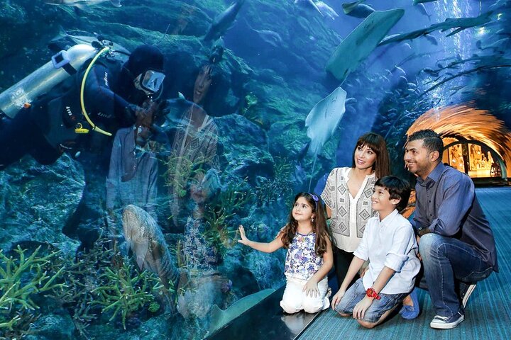 Dubai Mall Aquarium & Underwater Zoo Ticket with Private Transfer - Image 2