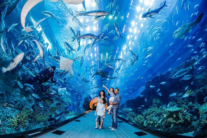 Dubai Mall Aquarium & Underwater Zoo Ticket with Private Transfer - Image 3