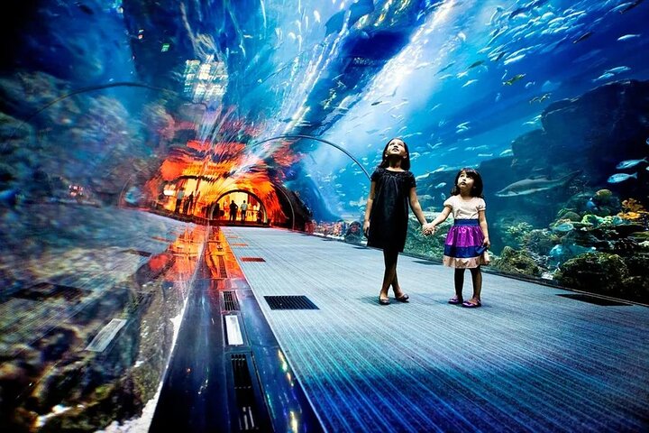 Dubai Mall Aquarium & Underwater Zoo Ticket with Private Transfer - Image 5