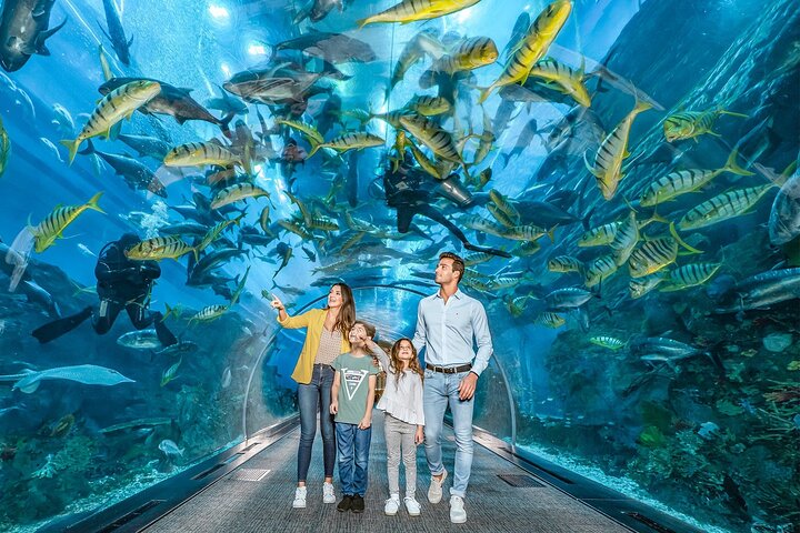 Dubai Mall Aquarium & Underwater Zoo Ticket with Private Transfer - Image 1