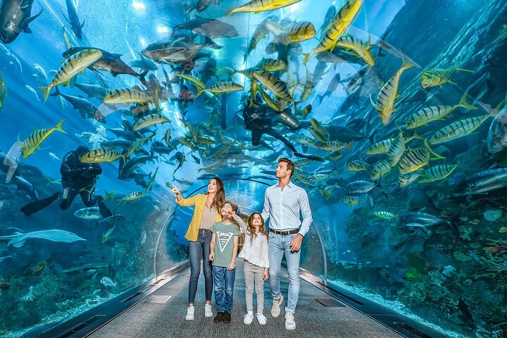 Dubai Mall Aquarium &Underwater Zoo Ticket's With Transfer - Image 1