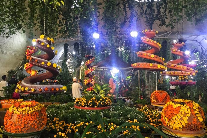 Dubai Miracle & Butterfly Garden Tour with private round trip transfers - Image 2