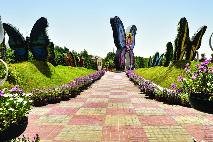 Dubai Miracle & Butterfly Garden Tour with private round trip transfers - Image 3