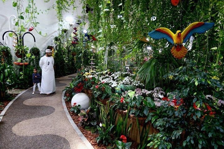Dubai Miracle & Butterfly Garden Tour with private round trip transfers - Image 1