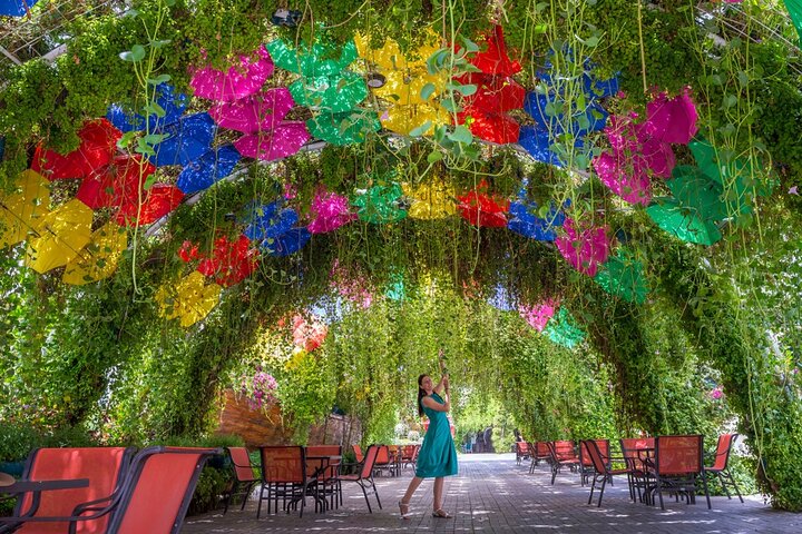 Dubai Miracle Garden and Glow Garden Tour With Pickup - Image 5