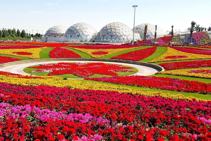 Dubai Miracle Garden and Ski Dubai Tickets with Private Transfer - Image 3