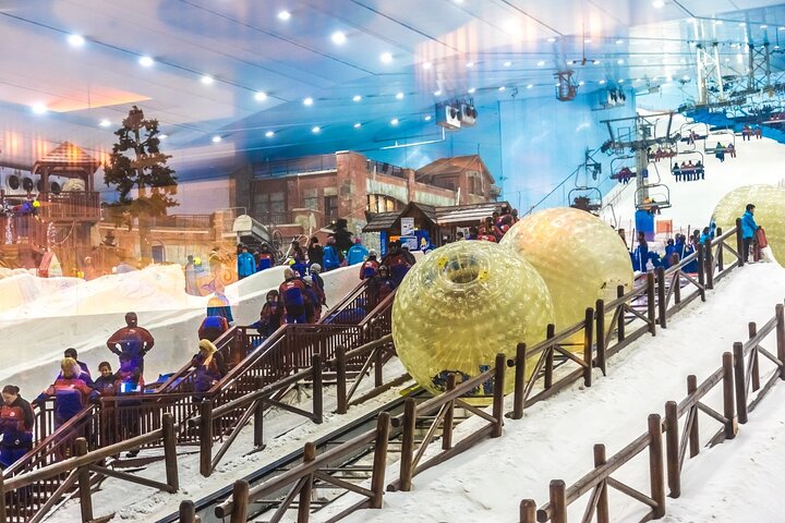 Dubai Miracle Garden and Ski Dubai Tickets with Private Transfer - Image 5