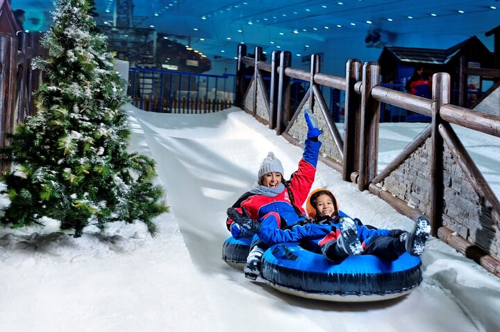 Dubai Miracle Garden and Ski Dubai Tickets with Private Transfer - Image 2
