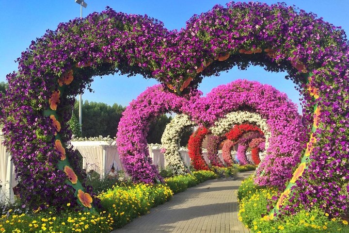 Dubai Miracle Garden with private round trip transfers - Image 4