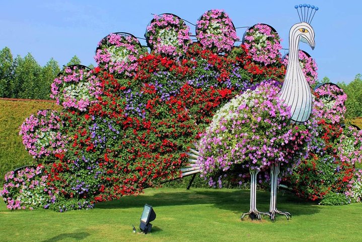 Dubai Miracle Garden with private round trip transfers - Image 3