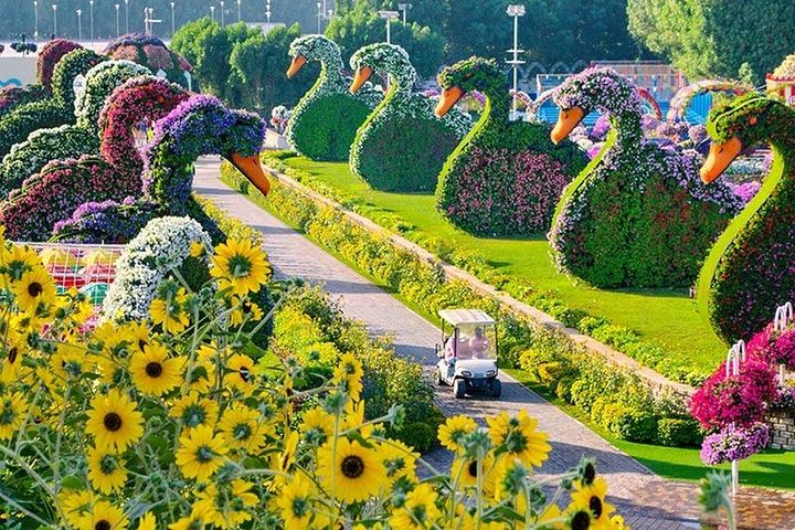 Dubai Miracle Garden with private round trip transfers - Image 2