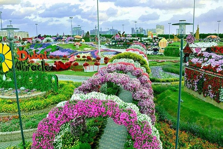 Dubai Miracle Garden with private round trip transfers - Image 1