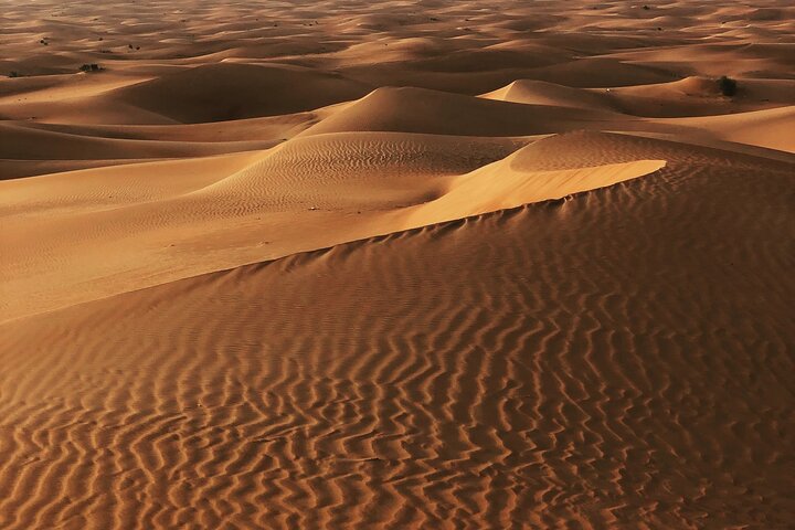 Dubai Morning Desert Safari ( Private Tour ) - Image 5