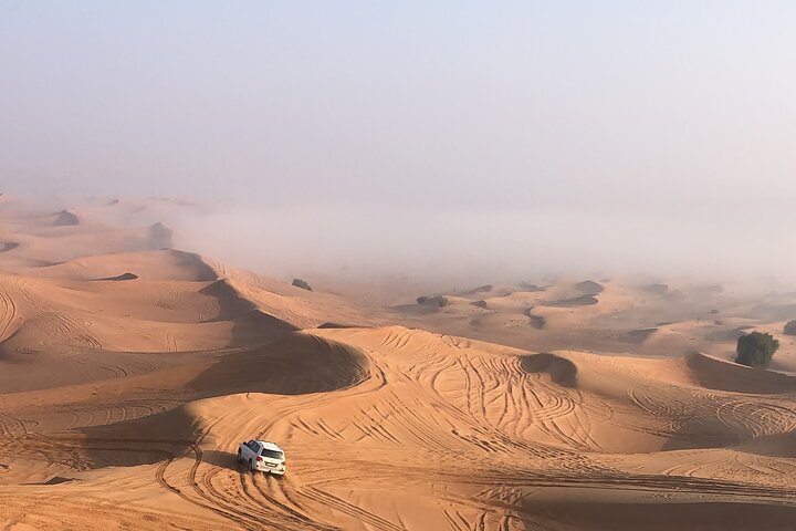 Dubai Morning Desert Safari ( Private Tour ) - Image 4