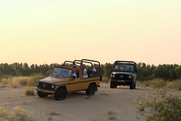 Dubai: Morning Heritage Safari by Vintage G Class & Al Marmoom Oasis - Image 1