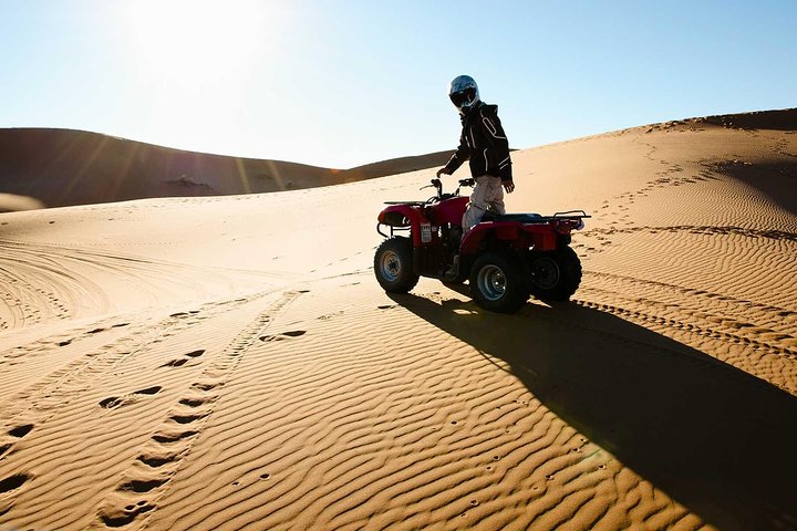 Dubai Morning Quad Bike with Sandboarding and Camel Ride - Image 4