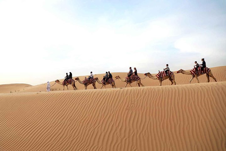 Dubai Morning Red Dunes with Camel Safari & Sandsurf - Image 3