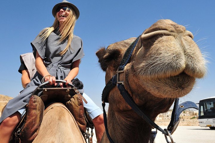 Dubai Morning Red Dunes with Camel Safari & Sandsurf - Image 5