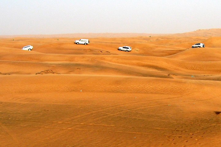 Dubai Morning Safari - Image 5