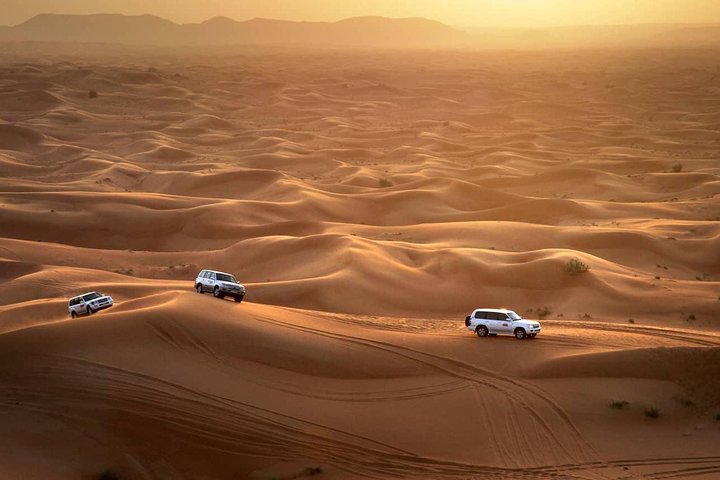 Dubai Morning Safari With Camel Trek - Image 5