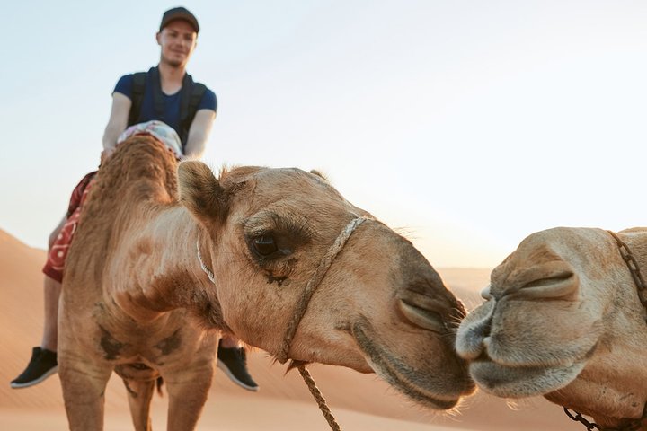 Dubai Red Dune Safari with Quad Bike, Sandboard & Camel Ride - Image 4