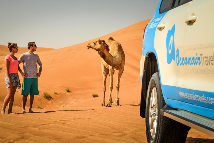 Dubai: Red Dunes Desert Safari, Sandsurf, Camels & Quad Bike Option - Image 4