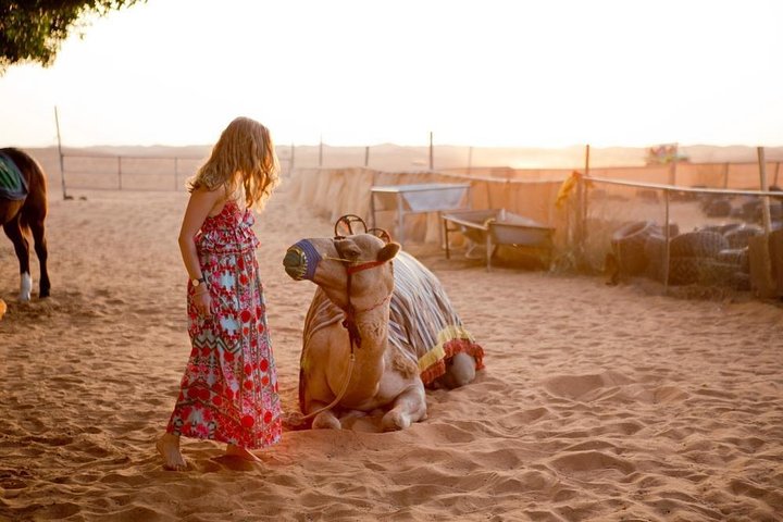 Dubai Red Dunes Desert Safari, With BBQ, Camel Ride, Sand Boarding And Much More - Image 1