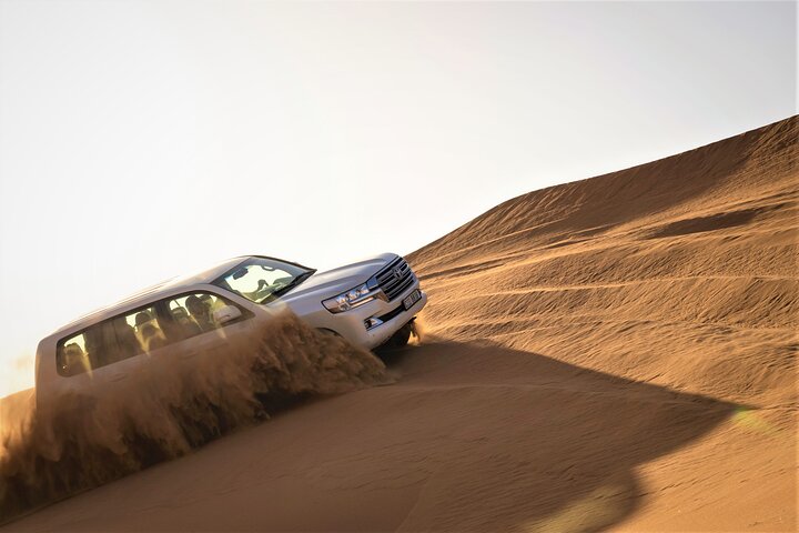 Dubai Red Dunes with Sandboarding, Camel Ride, Falcon & VIP Camp - Image 1