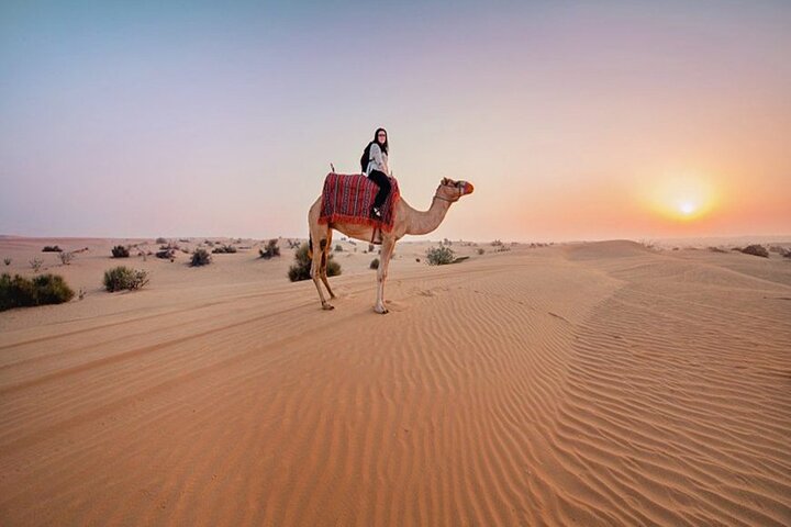 Dubai Red Sand Desert Adventure - Image 4